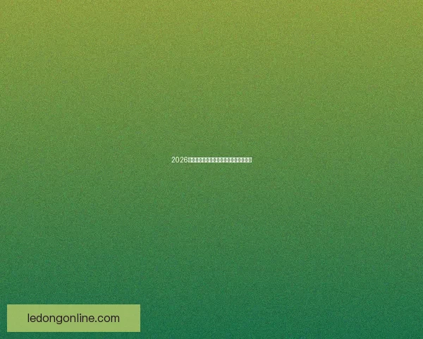 2026年世界杯墨西哥赛场盛况回顾与赛事分析