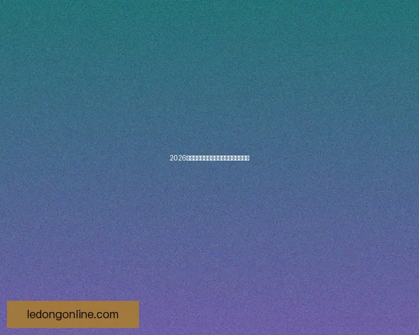 2026年世界杯墨西哥赛场盛况回顾与赛事分析