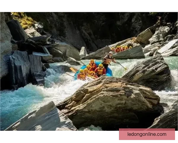 乐动体育是真是假？深入分析其可信度和用户体验揭秘